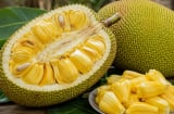 Mua mít đừng chọn theo cảm tính: 5 dấu hiệu nhận biết quả mít chín vàng thơm ngọt