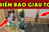 4 con vật vào nhà mang tới may mắn giàu có cho gia đình bạn: Đừng dại đuổi đi