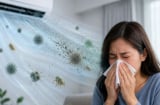Dùng điều hoà theo cách này không khác gì “máy phát tán siêu vi khuẩn”: Rất nhiều người đang mắc phải