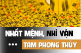 Nuôi dưỡng được 4 loại phong thủy này, con cái đỗ đạt làm quan, hưng thịnh 3 đời