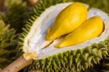 Người mắc 1 trong 5 bệnh này tuyệt đối không nên ăn sầu riêng