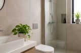 Vì sao nên có 1-2 chậu cây xanh trnog nhà tắm nhà vệ sinh, công dụng bất ngờ