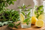 Cách giải độc gan bằng nước húng quế kết hợp chanh tươi, dùng sao cho đúng?