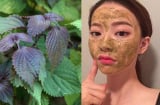 Cách trị thâm nám bằng lá tía tô đơn giản, dễ thực hiện tại nhà