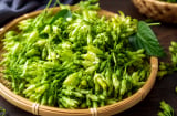Cách dùng hoa thiên lý giúp ngủ ngon, thanh nhiệt
