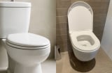 Nên đóng hay mở nắp bồn cầu sau khi dùng? Câu trả lời không đơn giản như nhiều người nghĩ
