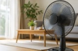 7 lỗi sai khi dùng quạt điện mùa hè: Nhiều người đang mắc làm tốn điện còn hại sức khoẻ