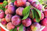 Những người nên hạn chế ăn quả mận