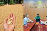 Bị phạt 7,5 triệu đồng vì đăng ảnh chế thóc phơi ngoài trời nổ thành bỏng