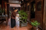 Đặt 1 thứ này trong nhà: Giữ không khí thoáng mát, không cần điều hòa