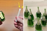 Cắm chiếc tăm bông vào lọ dầu gió: Công dụng tuyệt vời lại kiết kiệm khoản lớn mỗi năm