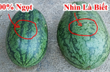 Vì sao khi mua dưa hấu người ta hay vỗ vào thân vỏ?