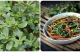4 loại rau củ mùa hè vừa ngon vừa sạch: Giá rẻ nhưng dinh dưỡng cực cao, không lo thuốc trừ sâu