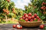 4 nhóm người tuyệt đối nên tránh xa quả vải ngày hè