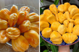 5 người tuyệt đối không nên ăn quả mít dù thèm đến mấy