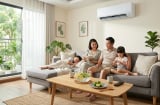 Người khôn ngoan thường để một bát nước trong phòng điều hòa vào mùa hè, lý do rất đơn giản