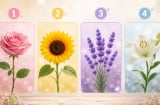 Quiz: Chọn 1 bông hoa để khám phá điều khiến bạn hấp dẫn người khác