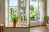 3 loại cây nhỏ nên đặt gần cửa sổ mùa hè giúp nhà mát hơn