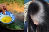 Cách gội đầu bằng nước chè xanh làm sạch gàu, giảm bết, tóc con mọc tua tủa