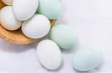 Mua trứng vịt chọn vỏ trắng hay vỏ xanh? Hóa ra bấy lâu nay nhiều người hiểu lầm