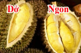Mẹo chọn sầu riêng ngon trăm quả như một múi to ngon ngọt