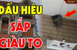 4 con vật vào nhà báo điềm lành: Thần Tài ghé thăm đừng dại đuổi đi