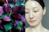 Cách rửa mặt bằng lá tía tô giúp da trắng mịn, mờ thâm nám