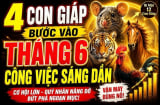 Chúc mừng 4 con giáp nhận tin tốt công việc xuôi thuận
