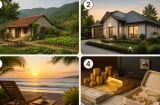 Quiz: Hình ảnh bạn chọn có thể dự đoán về già giàu có ra sao