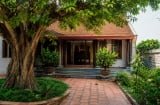 Người xưa nhắc nhở: 3 loại cây không nên trồng trước nhà kẻo hao tài tốn sức