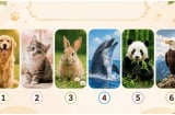 Quiz: Hình ảnh con vật yêu thích có thể tiết lộ trong mắt người khác, bạn thực sự là người như thế nào