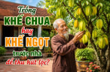 Trồng khế chua hay khế ngọt trước nhà để thu hút lộc?