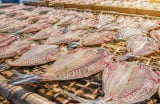 Ăn nhiều 6 loại cá này có thể tăng nguy cơ ung thư nhưng vẫn nhiều người thích ăn