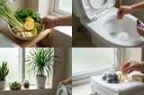 Mẹo khử tận gốc mùi hôi nhà vệ sinh ngày hè không tốn một xu