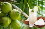 Nước dừa có phải bí quyết làm đẹp da?