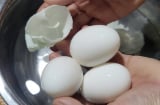 Trứng luộc bao nhiêu phút là ngon nhất?