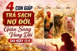 4 con giáp Trả Sạch Nợ Đời, Giàu Sang Vang Dội sau ngày 12/6