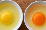 Lòng đỏ trứng càng đậm màu có phải càng bổ không?