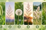 Quiz: Chọn 1 bông cỏ để xem chỉ số may mắn của bạn sắp tới cao hay thấp