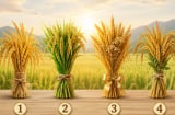 Chọn 1 bó lúa thích nhất: Tài vận của bạn đang đi lên hay đi xuống?