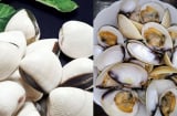 Mẹo để ngao nhả sạch cát nhanh: Đừng chỉ ngâm nước, nhiều người đang làm sai từ bước đầu