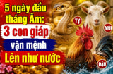 5 ngày đầu tháng Âm: 3 con giáp vận mệnh Lên như nước