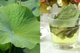 Cách uống nước lá sen giảm cân hiệu quả, bụng phẳng không mỡ thừa