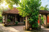 Người xưa dặn không nên trồng cây dâu trước cửa nhà, lý do là gì?