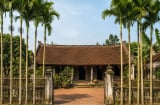 Tại sao các cụ ngày xưa thích trồng hàng cau trước cổng? Không phải chỉ để ăn trầu