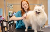 Câu chuyện phía sau thị trường chăm sóc thú cưng đang bùng nổ