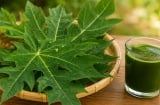 Lá đu đủ có công dụng gì? Những trường hợp không nên dùng tùy tiện