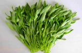Thực phẩm tốt cho sức khỏe: 4 loại rau giàu dinh dưỡng, giá bình dân