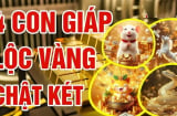 3 ngày cuối tuần: 4 con giáp 'gánh vàng' về nhà, ung dung tiền tự đến