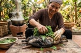 Bí quyết vặt lông vịt 'siêu tốc', sạch bong không sót một cọng lông măng nhờ... nắm lá đu đủ